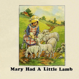 lamb.jpg