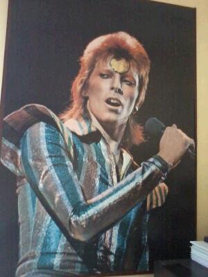 Bowie.JPG