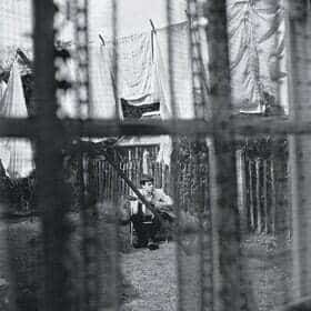 Chaos and Creation in the Backyard (2005) By Paul McCartney