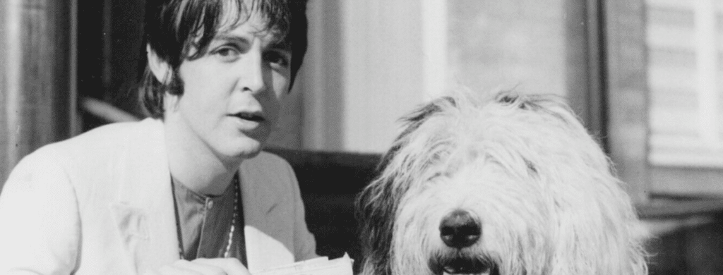 Qaund Paul McCartney écrit une chanson pour son chien