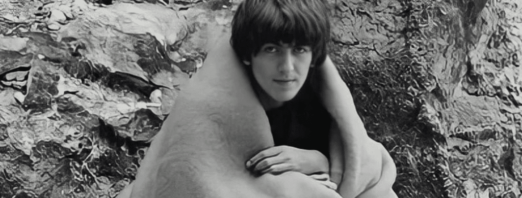 Dave Stewart était-il ami avec George Harrison ?