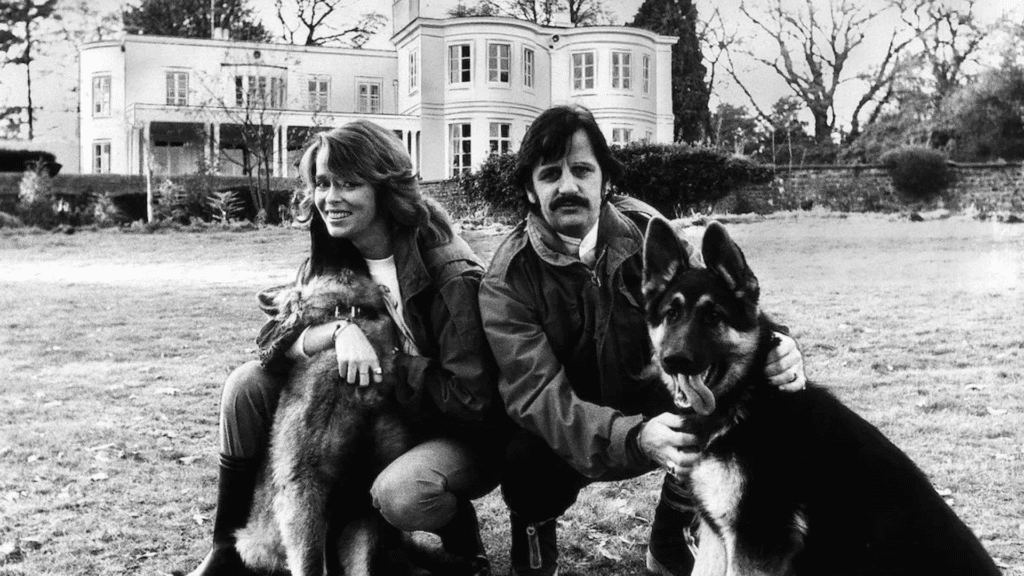 Chiens bergers allemands de Ringo Starr