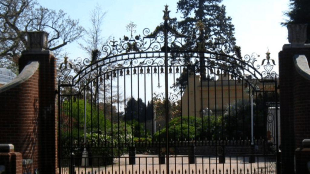 Séquoia géant du manoir Tittenhurst de John Lennon