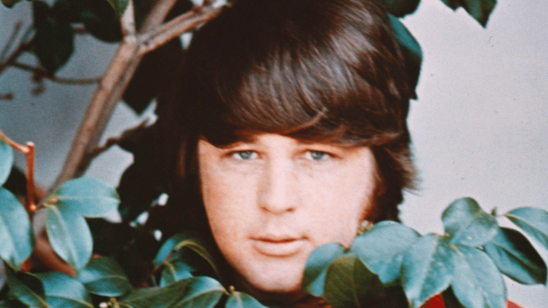La chanson que Brian Wilson voulait offrir aux Beatles