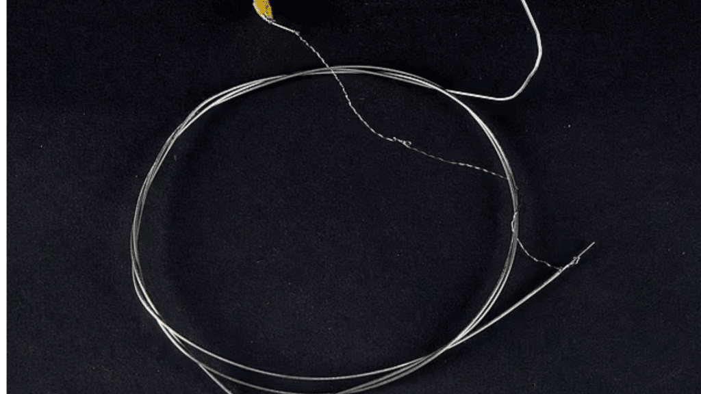 Une corde de la guitare de Paul McCartney utilisée pour l'enregistrement de Rubber Soul des Beatles se vend pour 2 000 £.