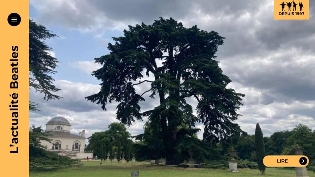 Découvrez comment le cèdre tricentenaire de Chiswick House, star du clip « Rain » des Beatles, concourt au Tree of the Year 2025 et incarne la fusion entre pop culture et patrimoine écologique.